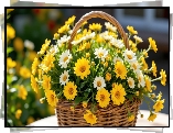 Żółte, Białe, Kwiaty, Listki, Wiklinowy, Koszyk