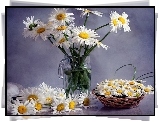 Margaretki, Bukiet, Wazon, Koszyk