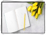 Żółte, Tulipany, Zeszyt, Żółta, Kredka