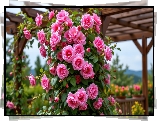 Róże, Pnące, Kwiaty, Pergola, Grafika, AI