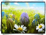 Pisanki, Łąka, Stokrotki, Trawa, Tęcza, Wielkanoc