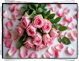 Wiązanka, Różowe, Róże, Płatki