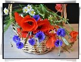 Bukiet, Polnych, Kwiatów, Maki, Chabry, Rumianki, Koszyk, Dekoracja