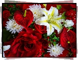 Anturium, Róże, Lilie