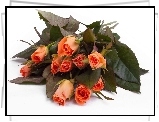 Herbaciane, Róże, Bukiet