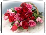 Róże, Koszyk