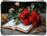 Otwarta, Książka, Kwiaty, Róże