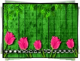 Kwiat, Różowe, Tulipany, Zielone, Listki, Deski, Łańcuch, 2D