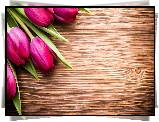 Różowe, Tulipany, Pięć, Tulipanów, Deski