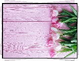 Tulipany, Różowe, Deski