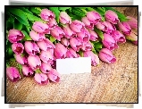 Tulipany, Różowe, Karteczka