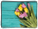 Różowe, Żółte, Tulipany, Deski