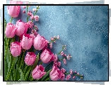 Kwiaty, Różowe, Tulipany, Niebieskie, Tło