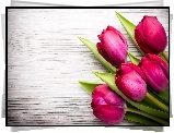 Pięć, Różowych, Tulipanów