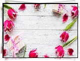 Rozrzucone, Tulipany, Dwa, Prezenty, Deski