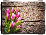Sztuczne, Kwiaty, Tulipany, Deski