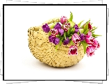 Bukiet, Tulipanów, Koszyk