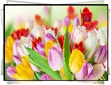 Tulipany, Kwiaty, Bukiet Kwiatów