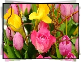 Tulipany, Żonkile, Róża, Bukiet Kwiatów