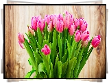 Bukiet, Tulipany, Różowe