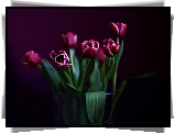 Tulipany, Wazon, Czarne,Tło
