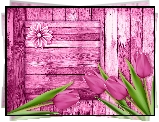 Tulipany, Różowe, Deski, 2D