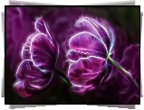 Fioletowe, Tulipany, Fractalius