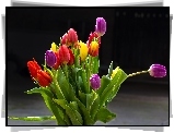 Kolorowe, Tulipany, Bukiet