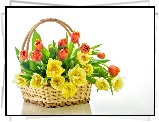 Tulipany, Koszyk