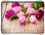 Tulipany, Różowe