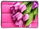 Różowe, Tulipany, Wiązanka
