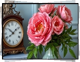 Kwiaty, Piwonie, Różowe, Zegar